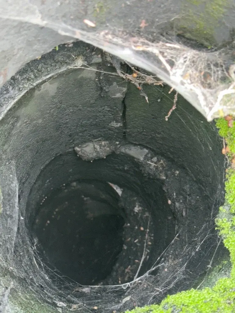 Chimney Inspections &Amp; Surveys 1 Common hidden issue