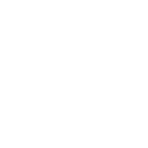 Chimney Inspections &Amp; Surveys 19 Chimney 1