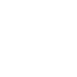 Chimney Inspections &Amp; Surveys 15 Fireplace