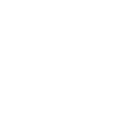 Chimney Inspections &Amp; Surveys 17 Pellet stove